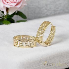 Goldfilled antialergijski uhani 22mm 14K barva